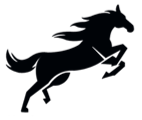 华科数字科技